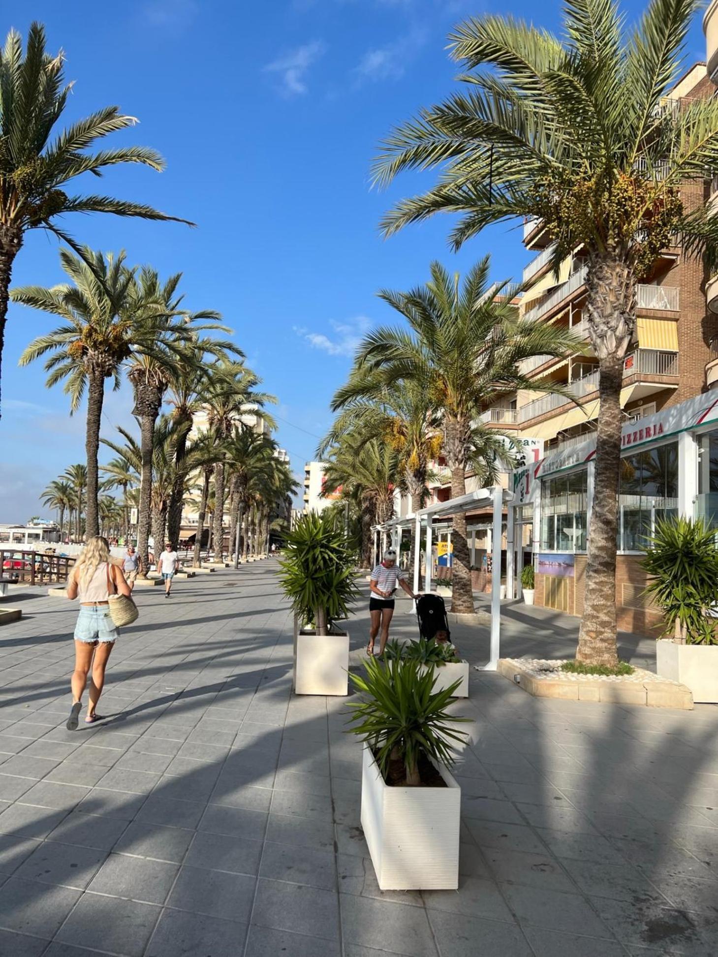 Apartment Beautiful Playa Del Cura In Spain